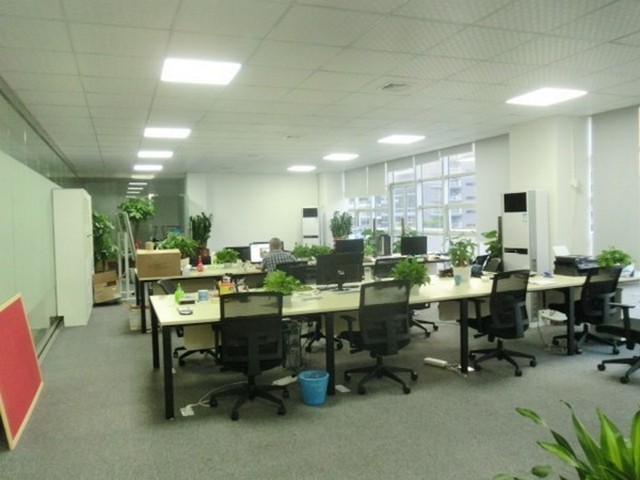 杭州SBR胶乳厂家